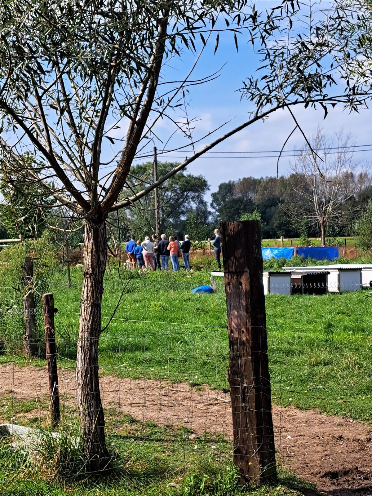 Bezoekers tijdens een rondleiding op de weide van de SmaakBoerderij in Gottem